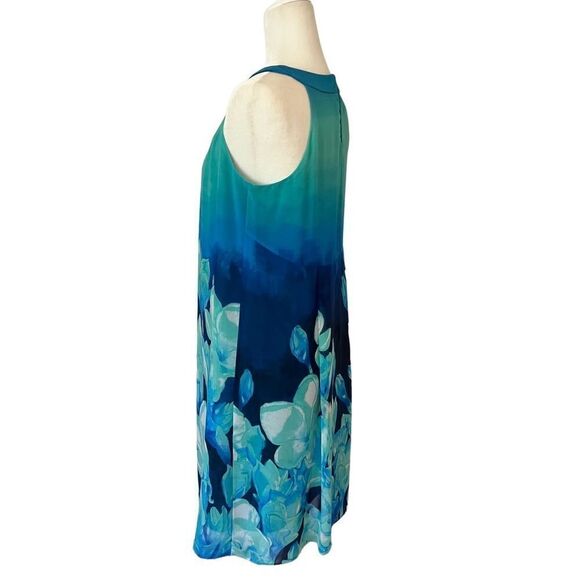 DB Established 1962 Beautiful Blue Floral Chiffon Dress.  Sleeveless. Size 6. - Picture 4 of 12